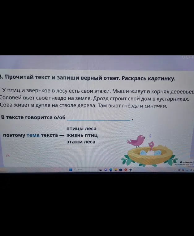 Определи тему текста про птиц и этажи леса
