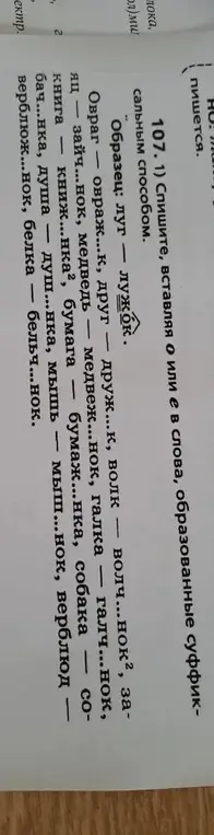 Вставь пропущенные буквы О или Е в словах: овраж...к, друг — друж...к и т.д.