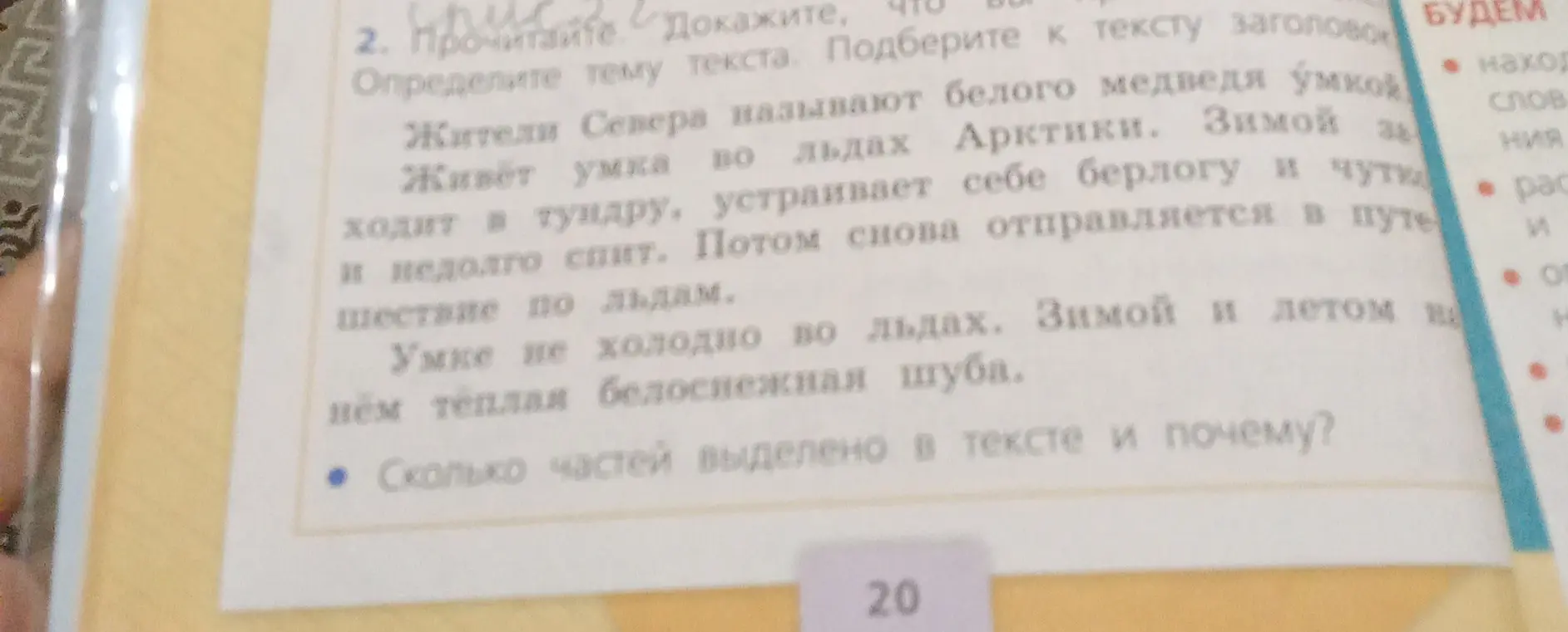 Ты просишь сказать, сколько частей выделено в тексте про умку и почему.