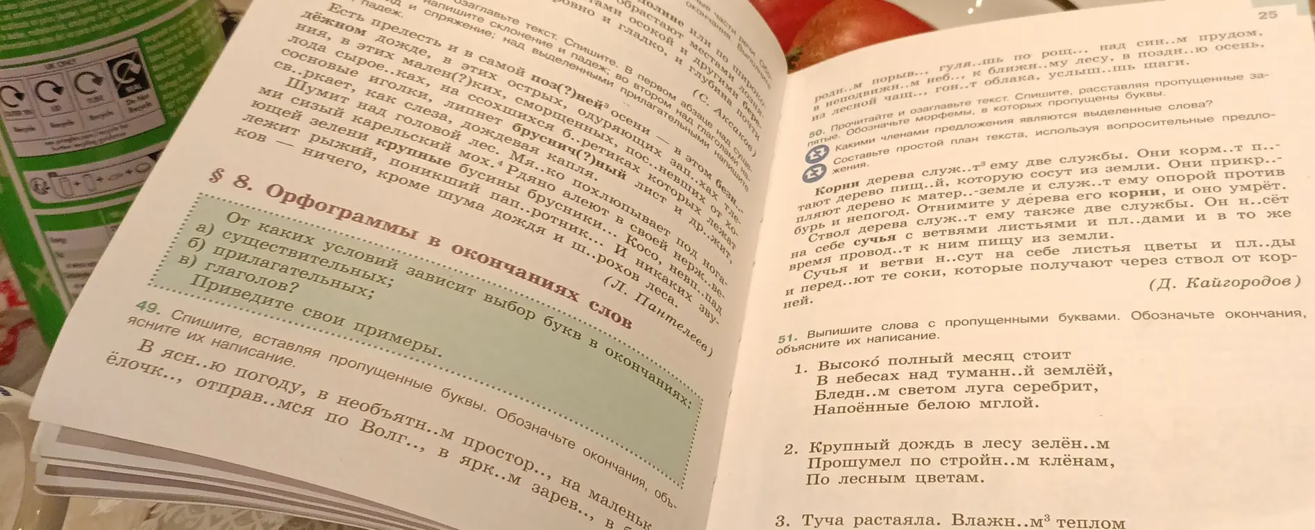 Вставь пропущенные буквы в упражнении 49, обозначь окончания и выполни упражнения 50 и 51