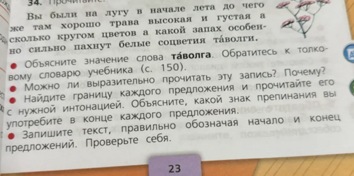 Ты просишь выполнить упражнение: объяснить значение слова, определить границы предложений, расставить знаки препинания.