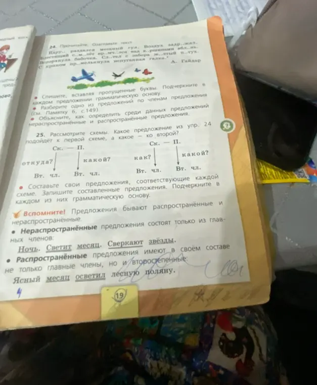 Выполни упражнение 24 и 25: спиши текст, вставляя пропущенные буквы, подчеркни грамматическую основу, разбери предложение по членам, объясни, как определить распространённые и нераспространённые предложения; рассмотри схемы и составь предложения
