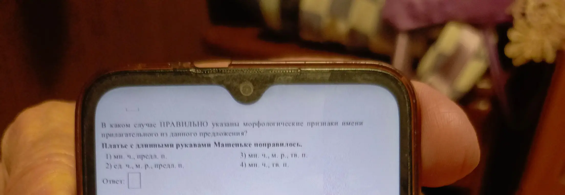 В каком случае ПРАВИЛЬНО указаны морфологические признаки имени прилагательного из предложения 'Платье с длинными рукавами Машеньке понравилось'?