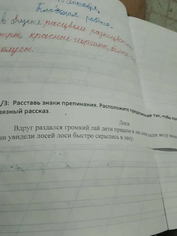 Помоги расставить знаки препинания и расположить предложения так, чтобы получился связный рассказ про лосей.
