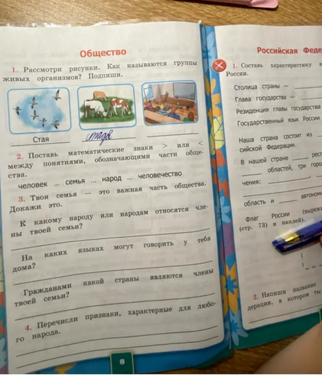 Рассмотри рисунки. Как называются группы живых организмов?