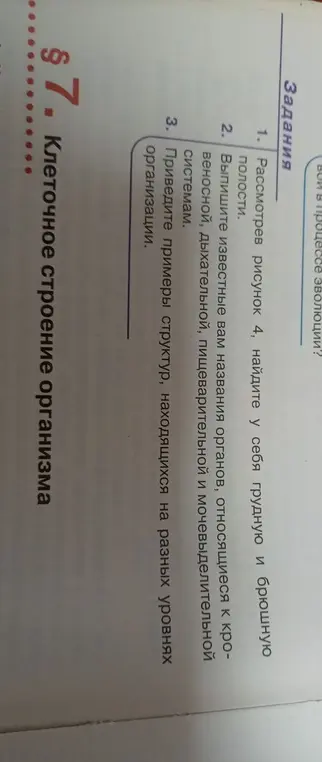 Рассмотрев рисунок 4, найди у себя грудную и брюшную полости.