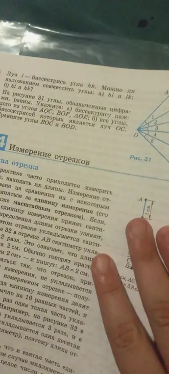 Можешь ли ты совместить углы hl и lk, hl и hk? Укажи биссектрису каждого из углов AOC, BOF, AOE; все углы, биссектрисой которых является луч OC. Сравни углы BOC и BOD.