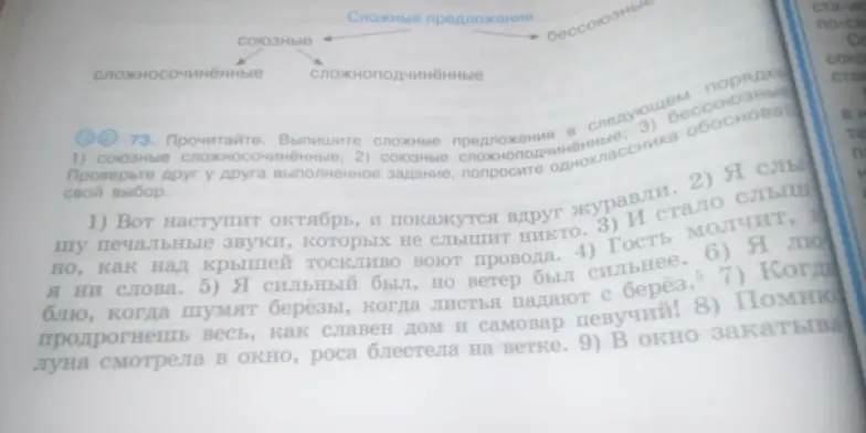 Предложи выписать сложносочиненные, сложноподчиненные и бессоюзные предложения из текста упражнения 73
