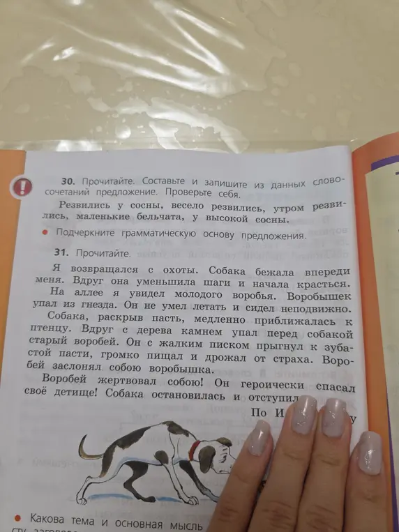 Составь предложение из словосочетаний 'резвились у сосны, весело резвились, утром резвились, маленькие бельчата, у высокой сосны' и подчеркни грамматическую основу предложения