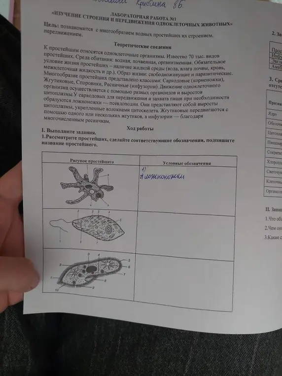 Рассмотри простейших, сделай соответствующие обозначения, подпиши название простейшего.