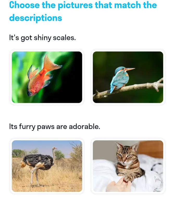 Выбери картинки, которые соответствуют описаниям: a) It's got shiny scales.