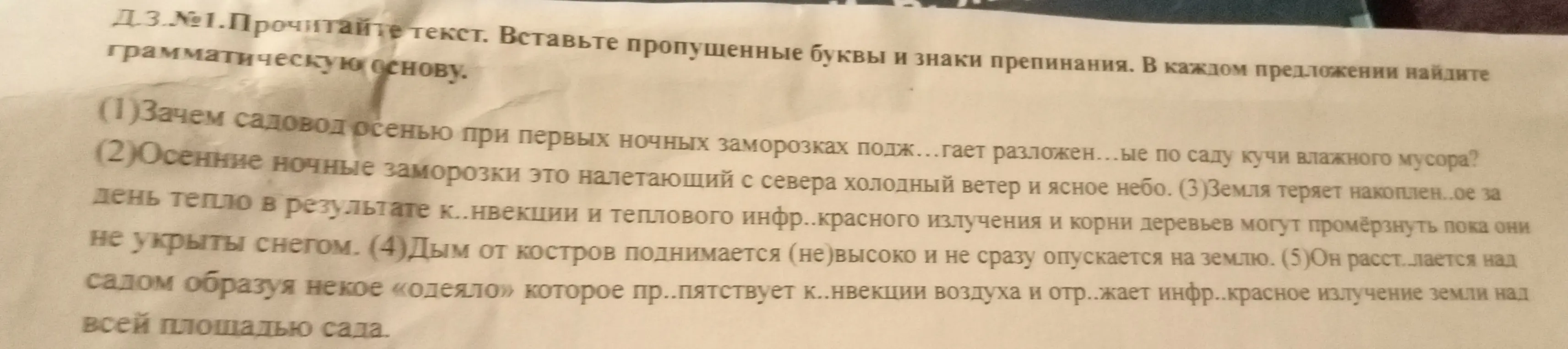 Ты просишь меня прочитать текст, вставить пропущенные буквы и знаки препинания и найти грамматическую основу в каждом предложении.