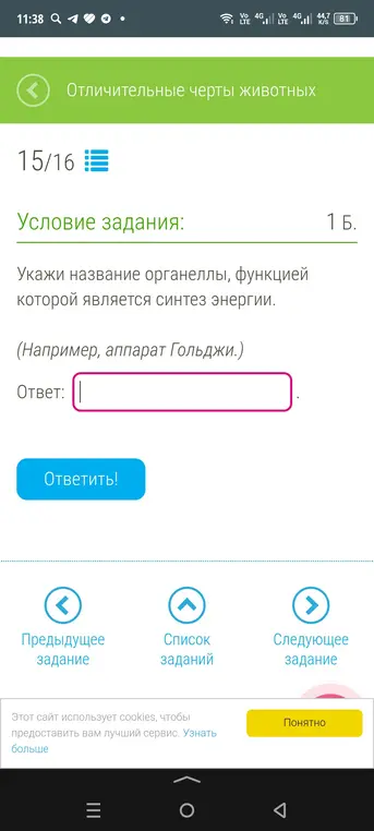 Можешь подсказать название органеллы, функцией которой является синтез энергии?