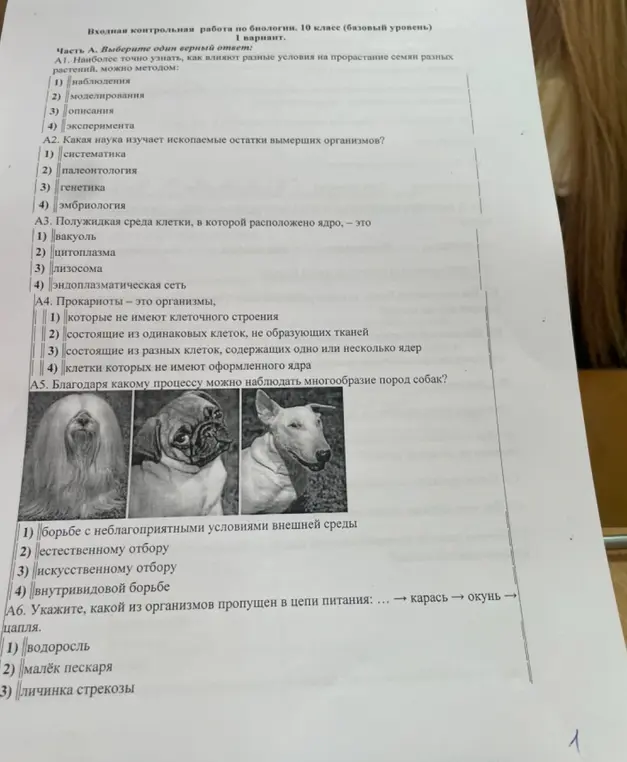 Можешь ли ты помочь мне с контрольной работой по биологии за 10 класс? В первом задании нужно выбрать метод, чтобы узнать, как влияют разные условия на прорастание семян разных растений.