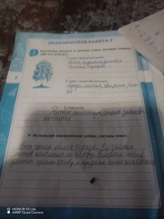 Помоги составить текст про берёзу, используя данные слова