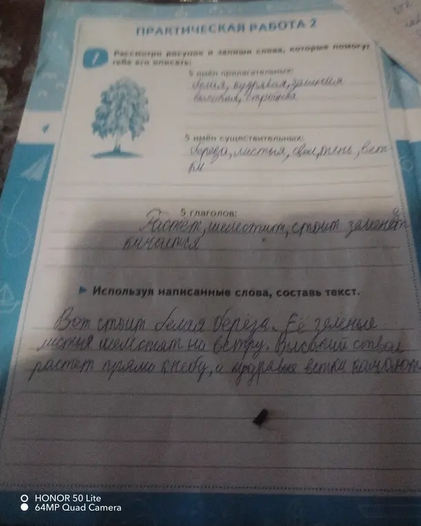 Ты составил текст, используя написанные слова
