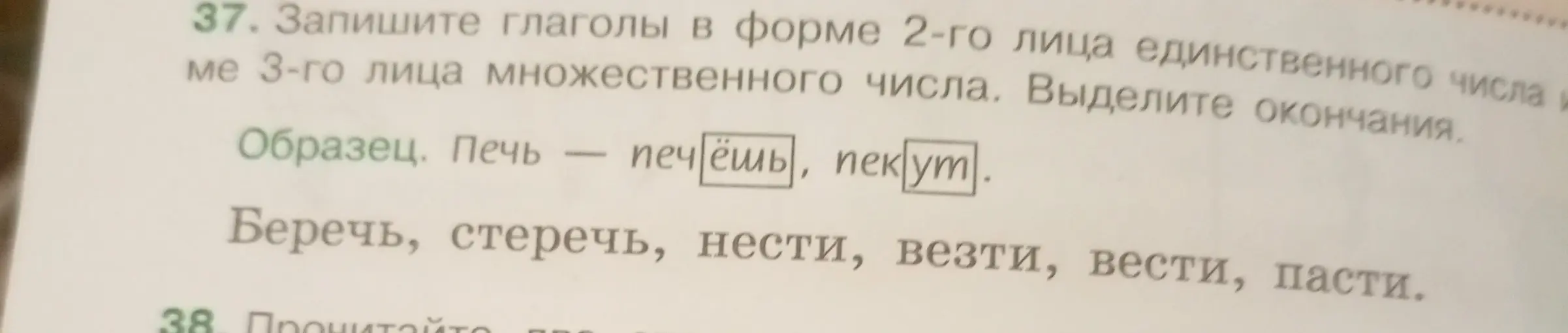 Запиши глаголы «беречь», «стеречь», «нести», «везти», «вести», «пасти» в форме 2-го лица единственного числа и 3-го лица множественного числа