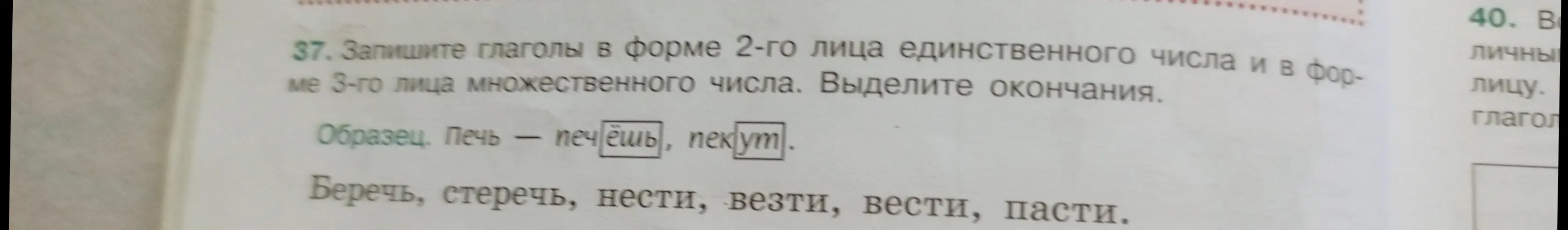 Составь формы 2-го лица единственного числа и 3-го лица множественного числа глаголов 'Беречь, стеречь, нести, везти, вести, пасти'.