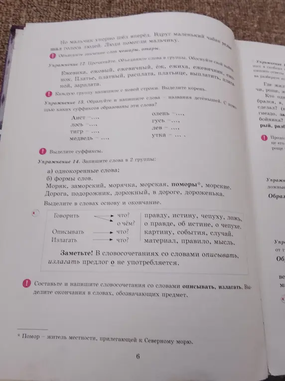 Выполни упражнение 12: объедини слова в группы; выполни упражнение 13: образуй слова – названия детенышей; выполни упражнение 14: запиши слова в 2 группы: а) однокоренные слова, б) формы слов