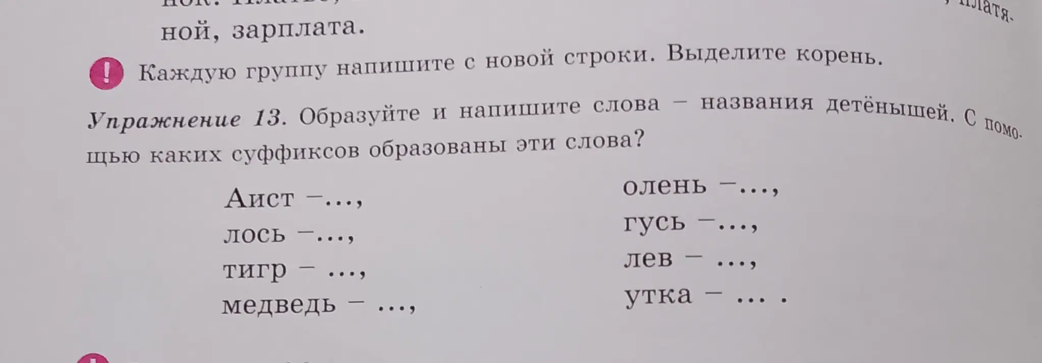 Составь слова - названия детенышей для слов: Аист, лось, тигр, медведь, олень, гусь, лев, утка и укажи, с помощью каких суффиксов образованы эти слова