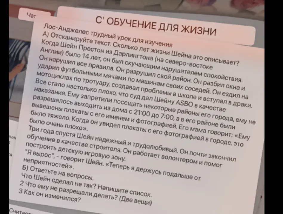 Сколько лет жизни Шейна описывает текст? Что Шейн сделал не так? Что ему не разрешали делать? Как он изменился?