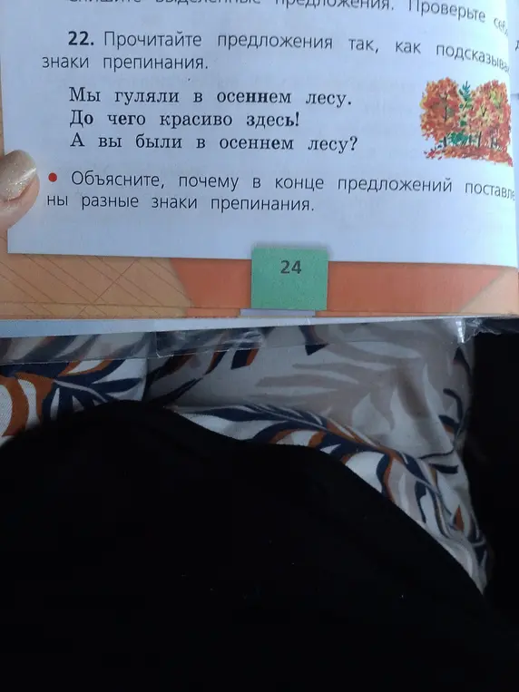 Объясни, почему в конце предложений поставлены разные знаки препинания