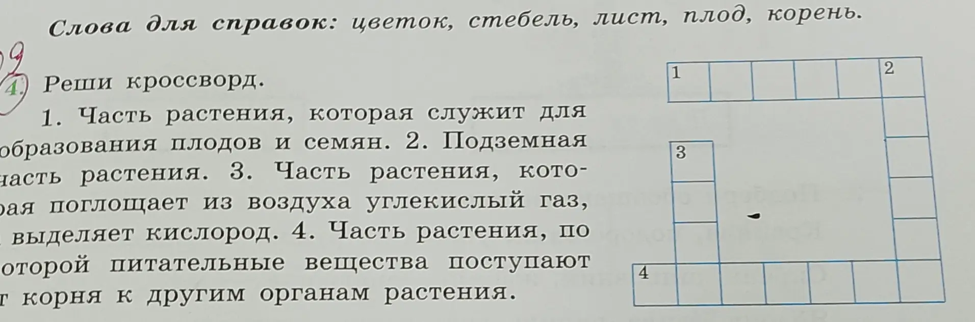 Помоги решить кроссворд про части растений
