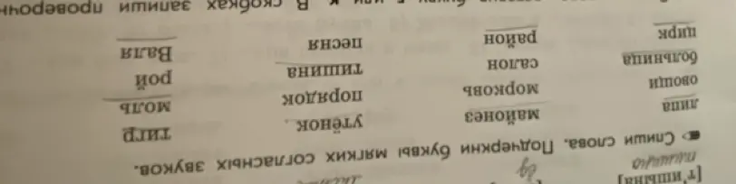Укажи, где в словах из изображения мягкие согласные звуки