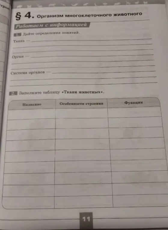 Объясни, что такое ткань, орган и система органов, и заполни таблицу «Ткани животных»