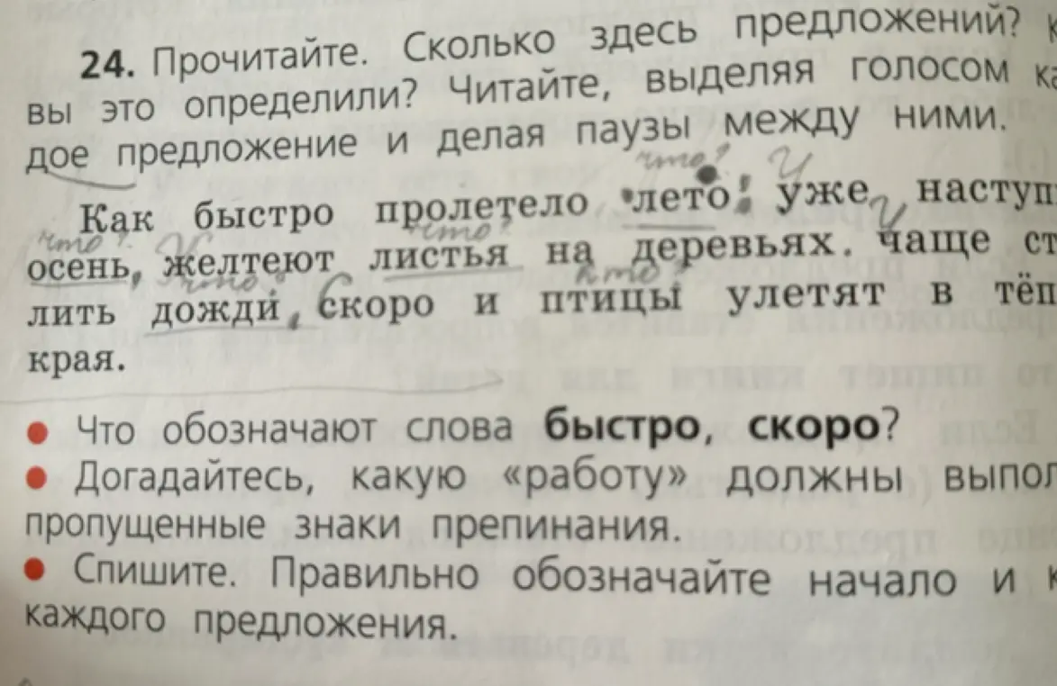Ты просишь определить количество предложений в тексте