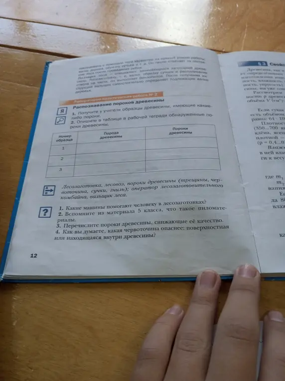 Какие машины помогают человеку в лесозаготовках?