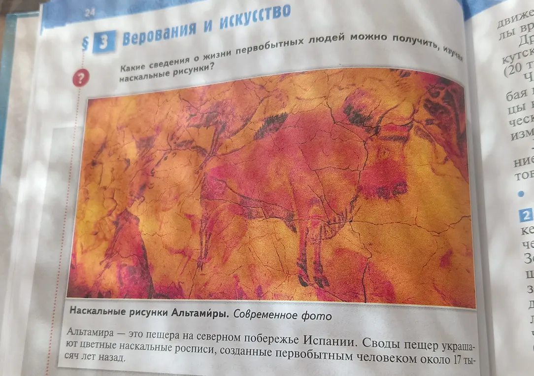 Помоги мне сравнить первобытные наскальные изображения из разных районов мира и заполнить сравнительную таблицу.
