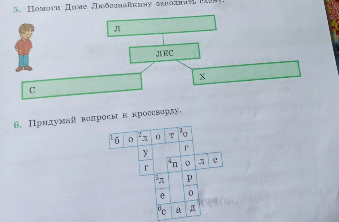 Помоги Диме Любознайкину заполнить схему.