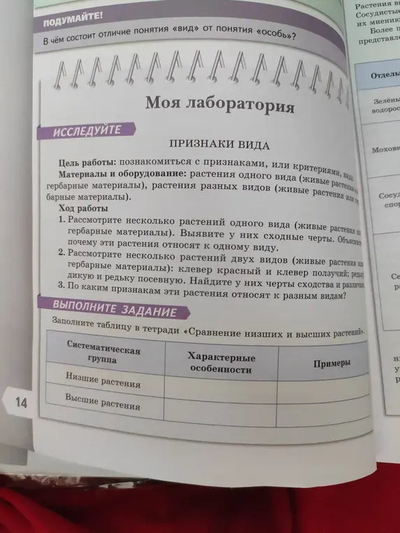 Объясни, как заполнить таблицу в тетради «Сравнение низших и высших растений»