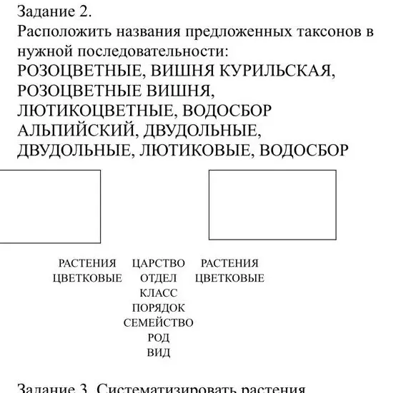 Расположи названия предложенных таксонов в нужной последовательности