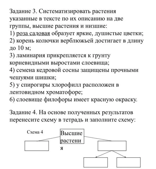 Систематизируй растения, указанные в тексте по их описанию на две группы, высшие растения и низшие