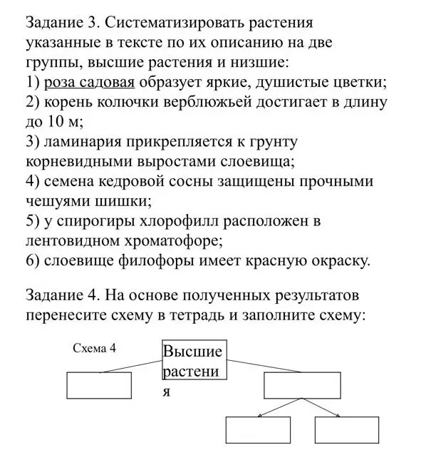 Можешь ли ты систематизировать растения, указанные в тексте, по их описанию на две группы: высшие растения и низшие, а также перенести схему в тетрадь и заполнить её?