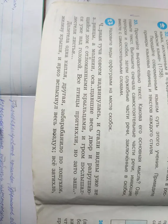 Назови виды орфограмм на месте скобок в тексте