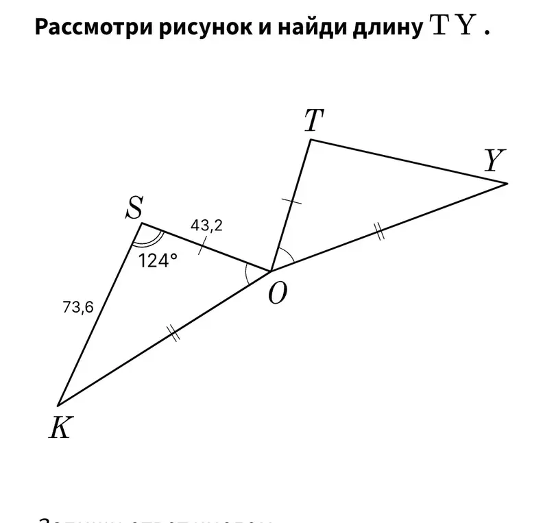 Рассмотри рисунок и найди длину TY