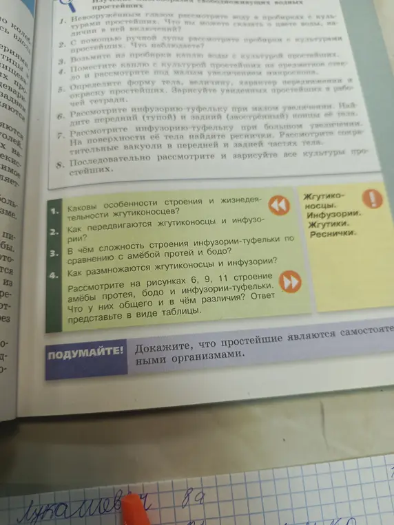 Ты спрашиваешь об особенностях строения и жизнедеятельности жгутиконосцев.