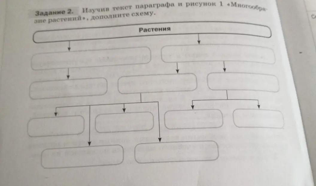 Составь схему о разнообразии растений.