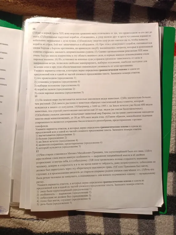 Укажи варианты ответов, в которых верно определена грамматическая основа в одном из предложений текста под номером 10
