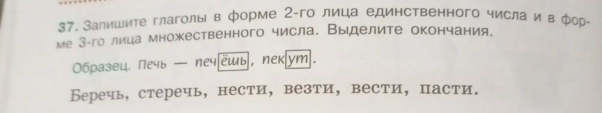 Напиши глаголы «беречь, стеречь, нести, везти, вести, пасти» в форме 2-го лица единственного числа и в форме 3-го лица множественного числа и выдели окончания