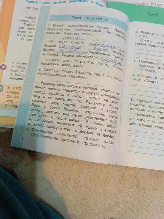 В упражнении №1 нужно вставить пропущенные буквы в предложениях, дополнить подходящими по смыслу словами и озаглавить текст.