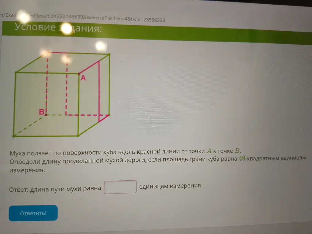 Определи длину пути мухи вдоль красной линии от точки А к точке В по поверхности куба, если площадь грани куба равна 49 квадратным единицам измерения.