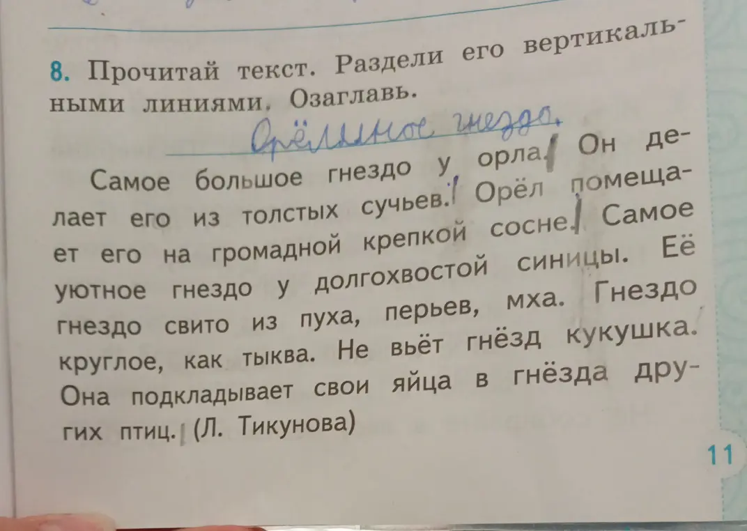 Прочитай текст и раздели его вертикальными линиями
