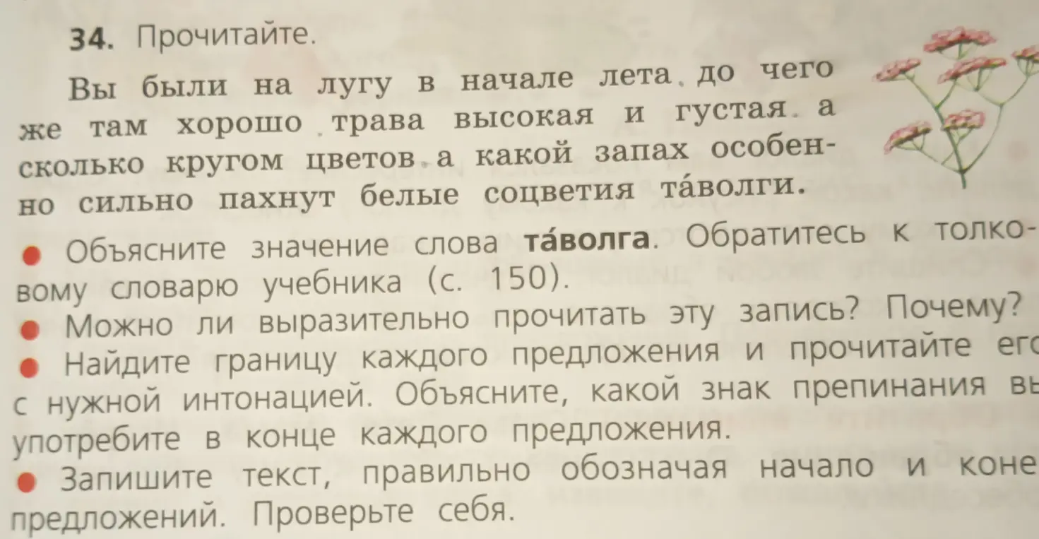 Объясни значение слова таволга из текста