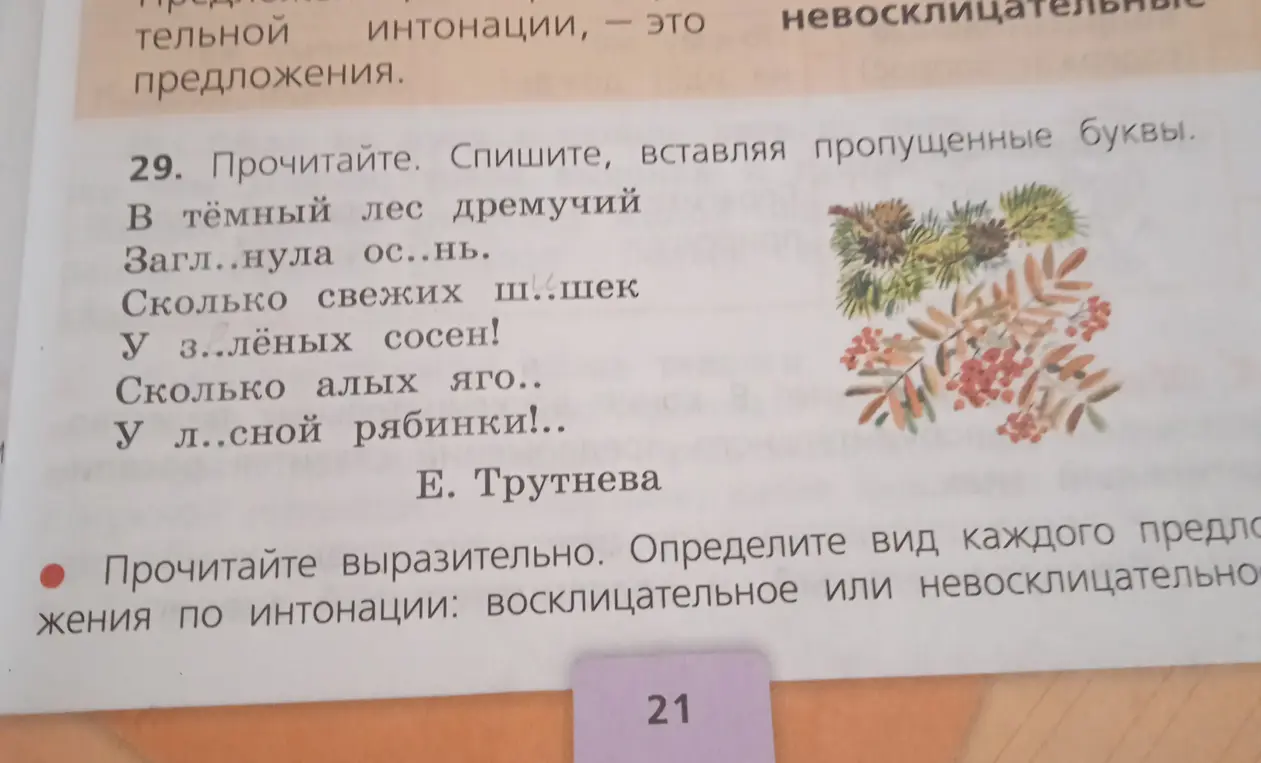 В упражнении 29 нужно вставить пропущенные буквы и определить вид каждого предложения по интонации.