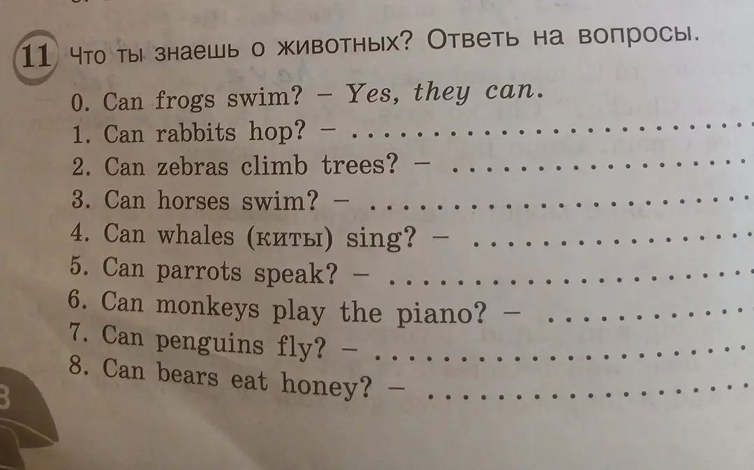 Ответь на вопросы: Can rabbits hop?