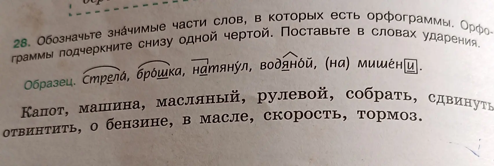Обозначь значимые части слов в задании 28, в которых есть орфограммы и поставь в словах ударения